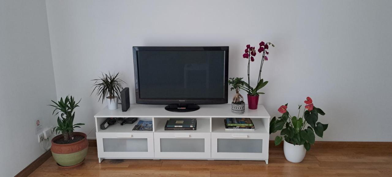 Appartement Lumineux T3 Avec Jardin Privatif A Hendaye - Parking Et Wif Gratuit 외부 사진