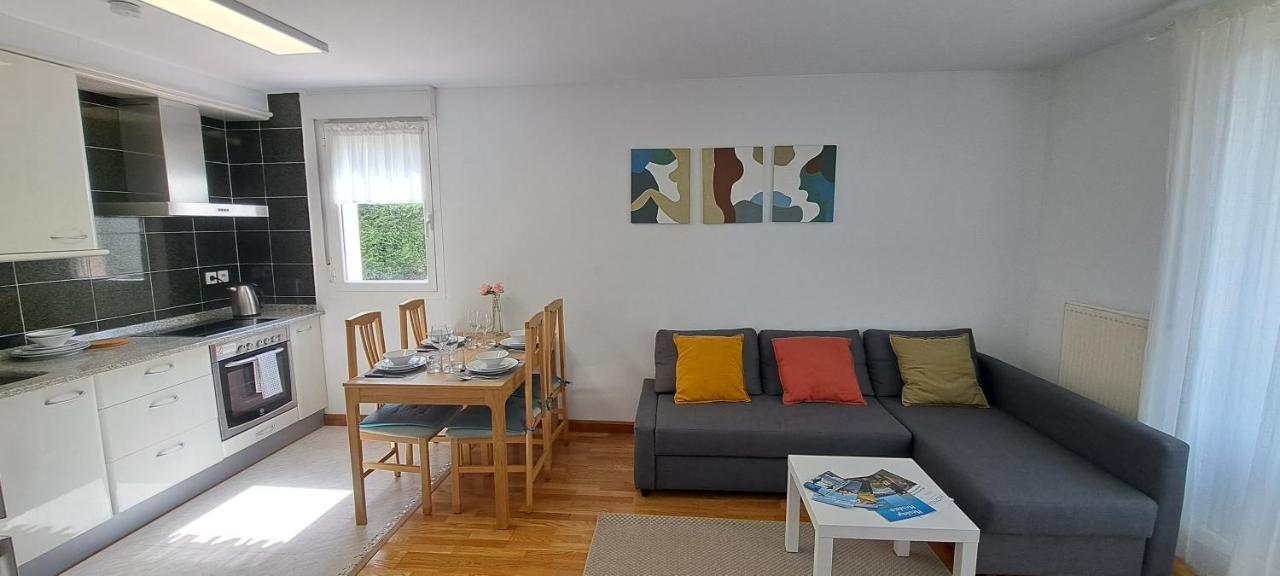 Appartement Lumineux T3 Avec Jardin Privatif A Hendaye - Parking Et Wif Gratuit 외부 사진